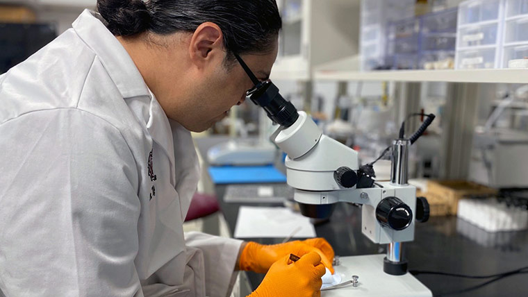 Missouri State physics professor Dr. Tiglet Besara looking through microscope.